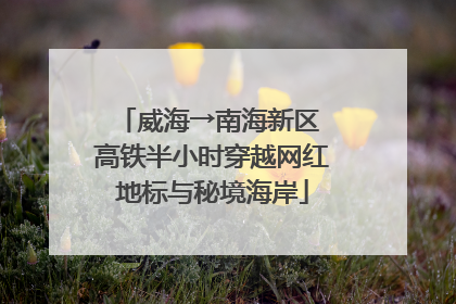 威海→南海新区 高铁半小时穿越网红地标与秘境海岸